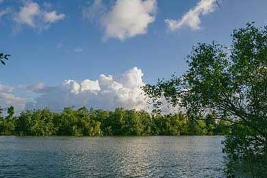 Aster参加国际赛事备受期待，aster战队近况